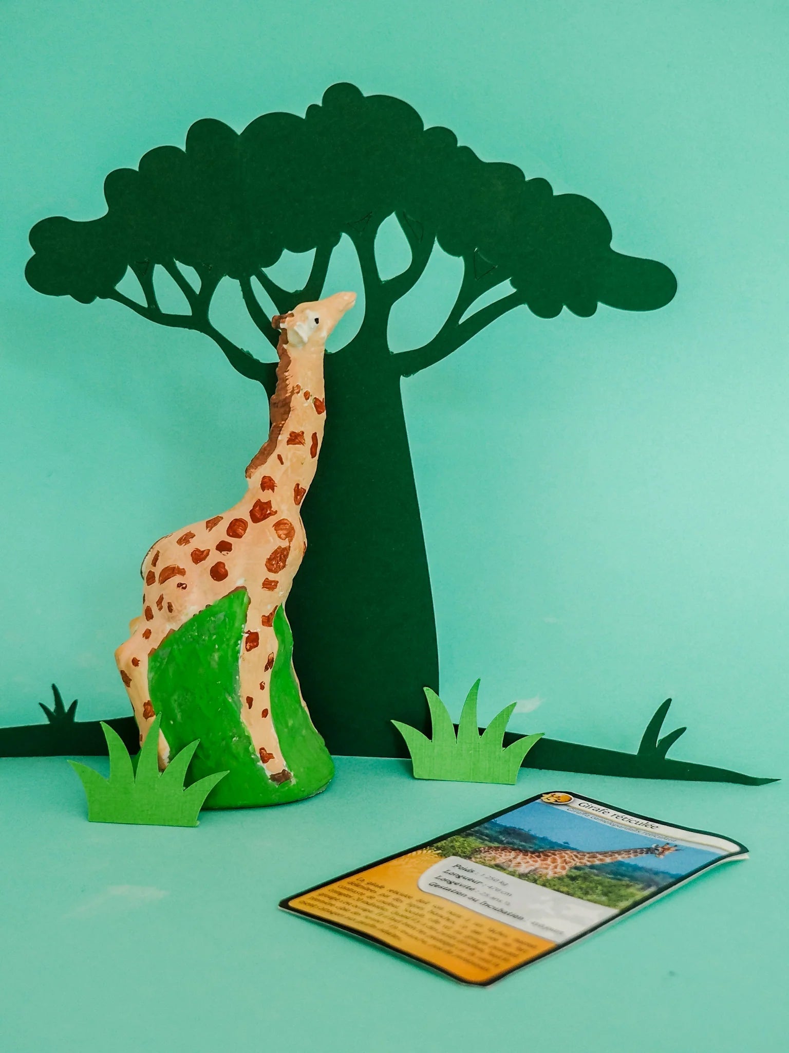 Mako Moulages - Espèces Protégées 2 - Mako Créations - myplayground