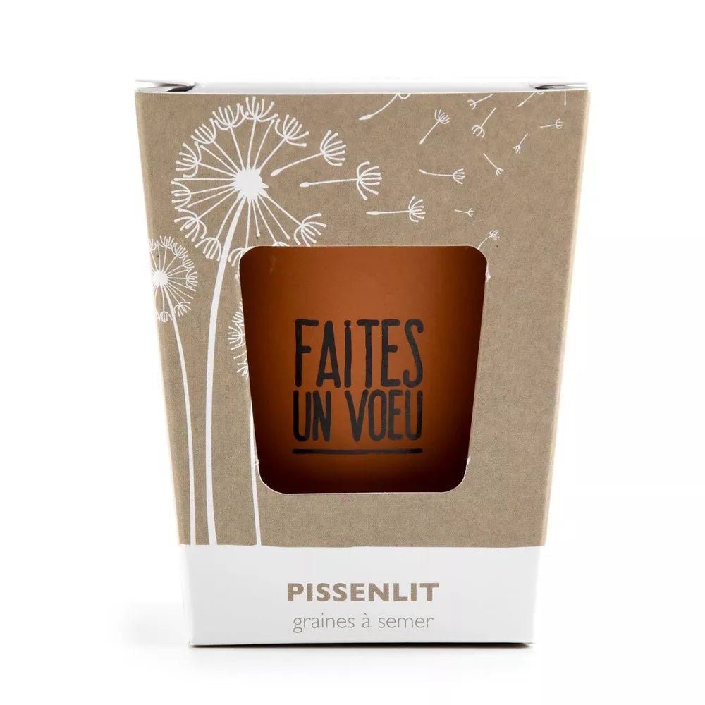 Kit message "Faites un voeu" - Pissenlit - Radis et Capucine - myplayground