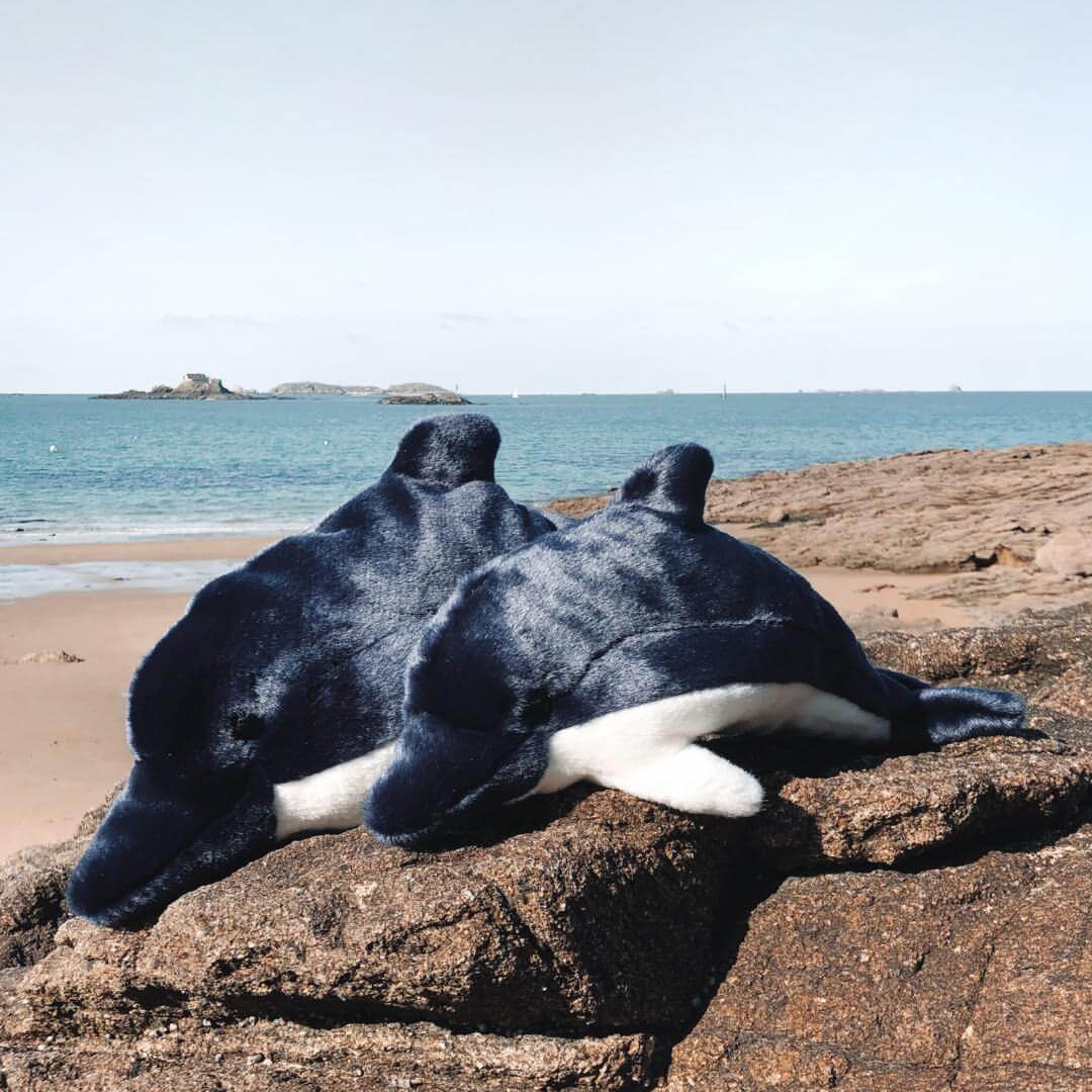 Ma peluche Dauphin Auguste - La Pelucherie by LA PELUCHERIE