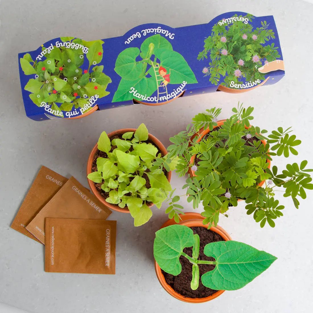 Trio 3 pots plantes magiques - Kit créatif de jardinage Enfant by Radis Et Capucine