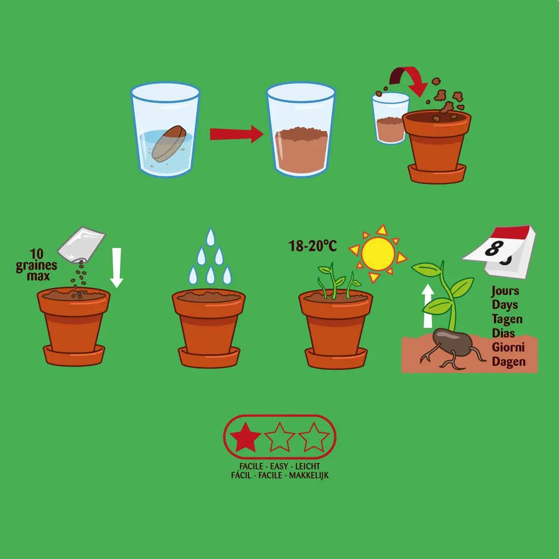 Plantes gourmandes - Basilic bio - Kit créatif de jardinage Enfant by Radis Et Capucine