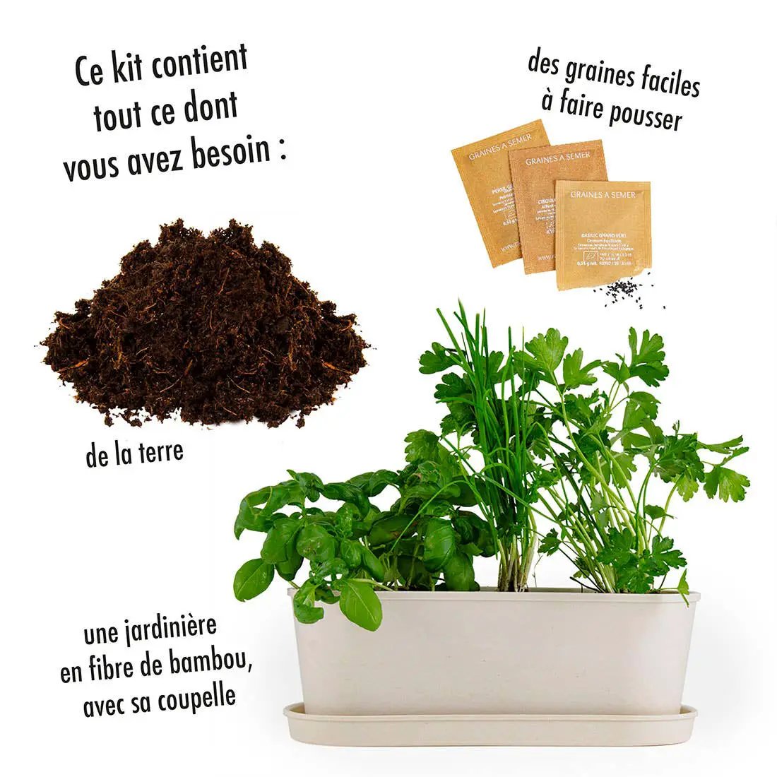 Jardinière bambou - Aromates - Kit créatif de jardinage Enfant by Radis Et Capucine