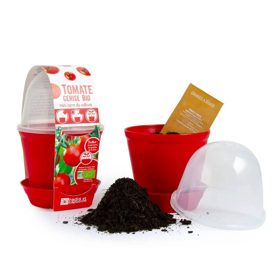 Pot Cloche - Tomate cerise bio - Kit créatif de jardinage Enfant by Radis Et Capucine