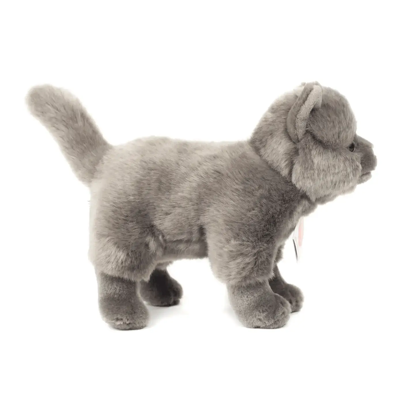 Chat chartreux debout 20 cm - peluche - peluche - Teddy Hermann by Teddy Hermann