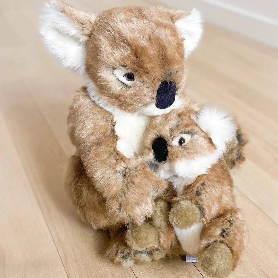 Ma peluche Koala Félicien - La Pelucherie by LA PELUCHERIE