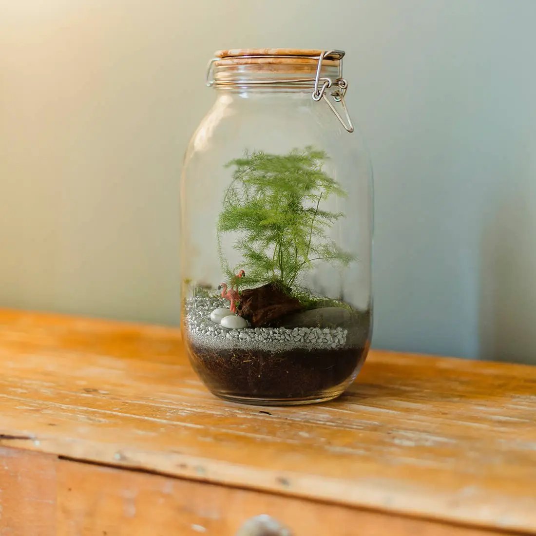 Kit pour créer ton propre terrarium - Kit créatif de jardinage Enfant by Radis Et Capucine
