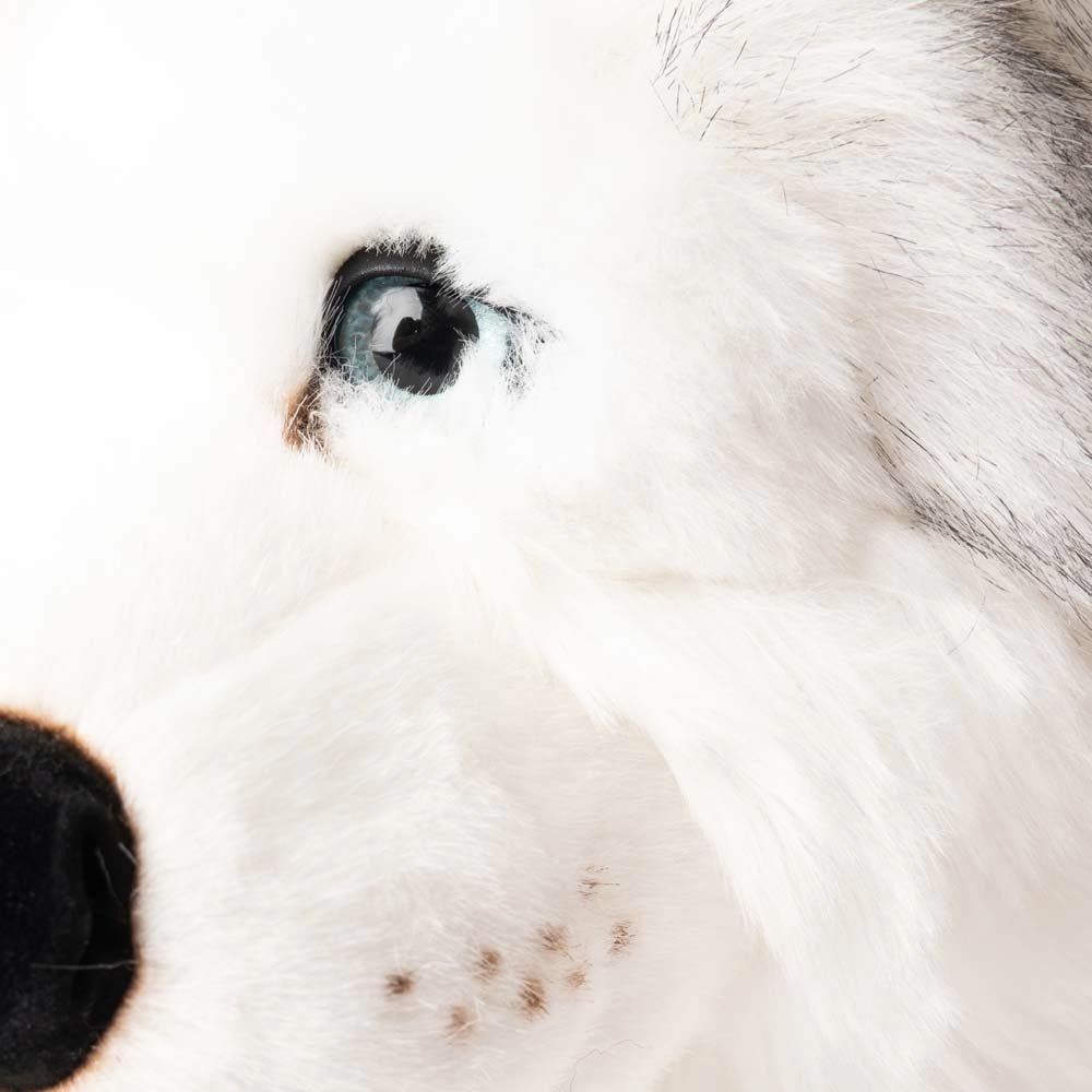 Ma peluche Husky Léonard - La Pelucherie - myplayground