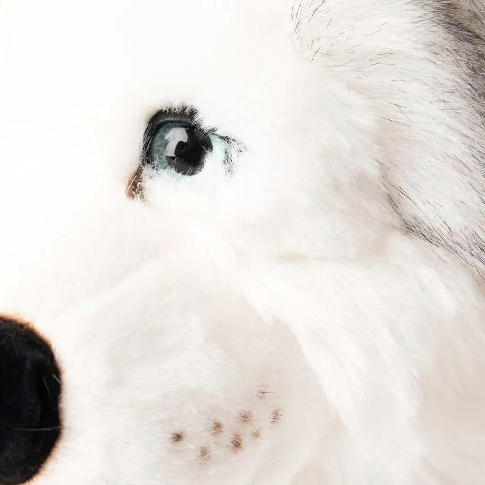 Ma peluche Husky Léonard - La Pelucherie by LA PELUCHERIE