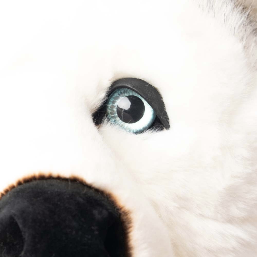 Ma peluche Husky Léonard - La Pelucherie by LA PELUCHERIE
