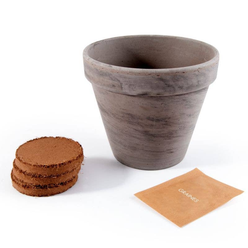 Pot Terre cuite Basalte - Tomate cerise bio - Kit créatif de jardinage Enfant - myplayground