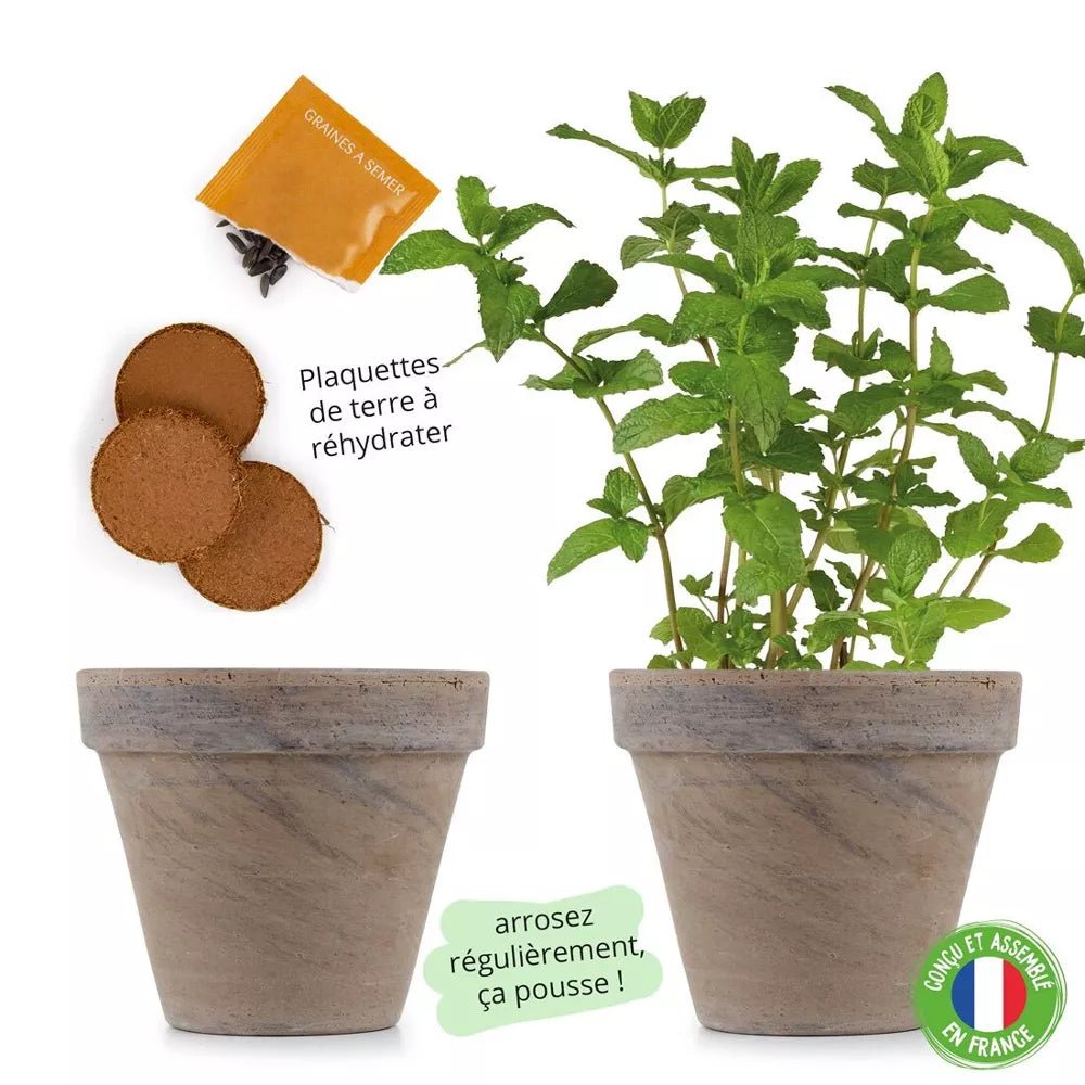 Pot en terre cuite - Menthe verte - Radis et Capucine - myplayground