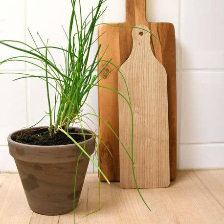 Pot Terre cuite Basalte - Ciboulette bio - Kit créatif de jardinage Enfant by Radis Et Capucine