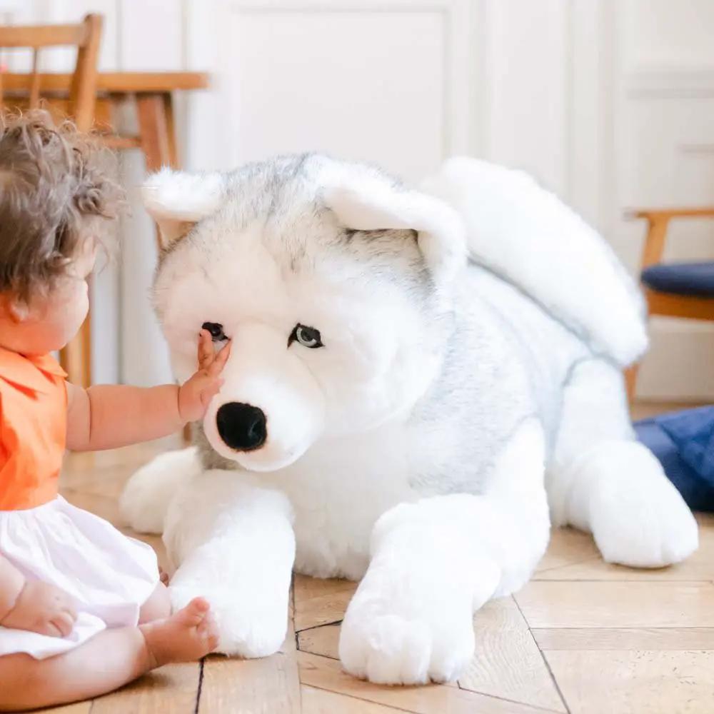 Ma peluche Husky Léonard - La Pelucherie by LA PELUCHERIE