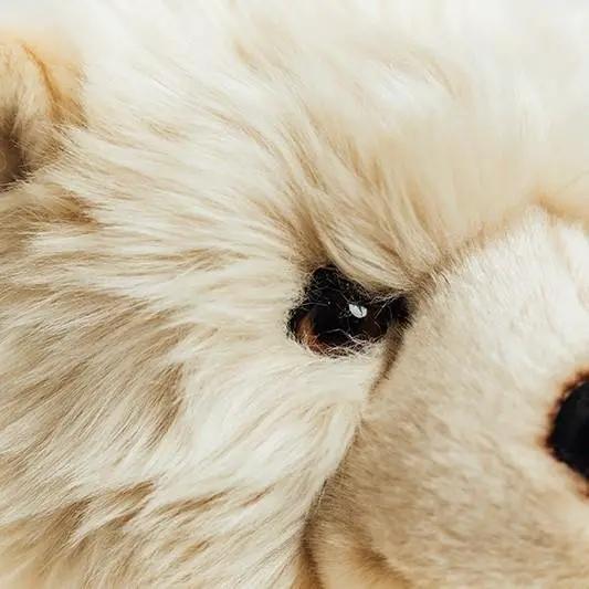 Ma peluche Ours Jules - La Pelucherie by La Pelucherie