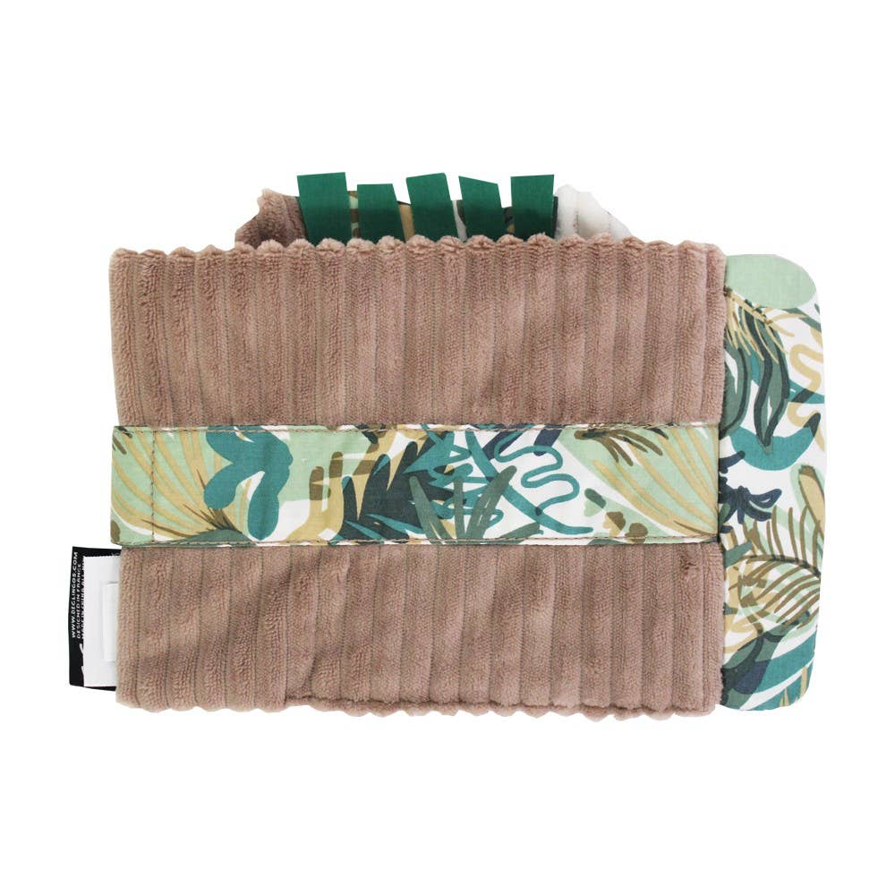 Album Photo Jelekros le Lion - Livre Illustré - Les Déglingos, France - myplayground