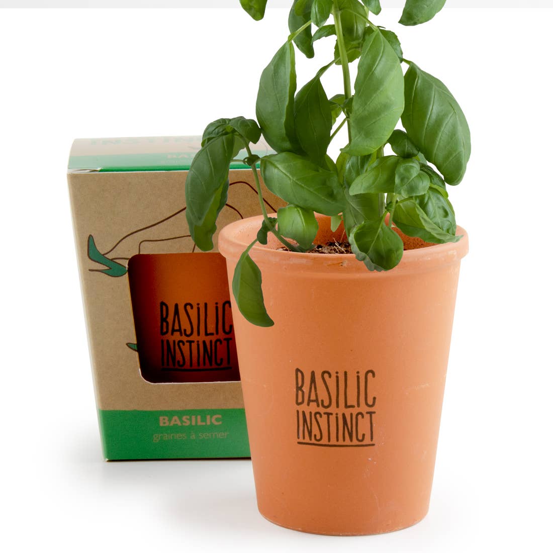 Kit message "Basilic Instinct" Basilic - Kit créatif de jardinage Enfant by Radis Et Capucine