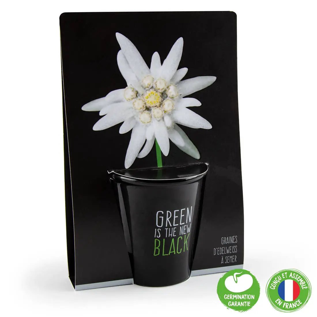 Gamme black - Edelweiss - Kit créatif de jardinage Enfant by Radis Et Capucine
