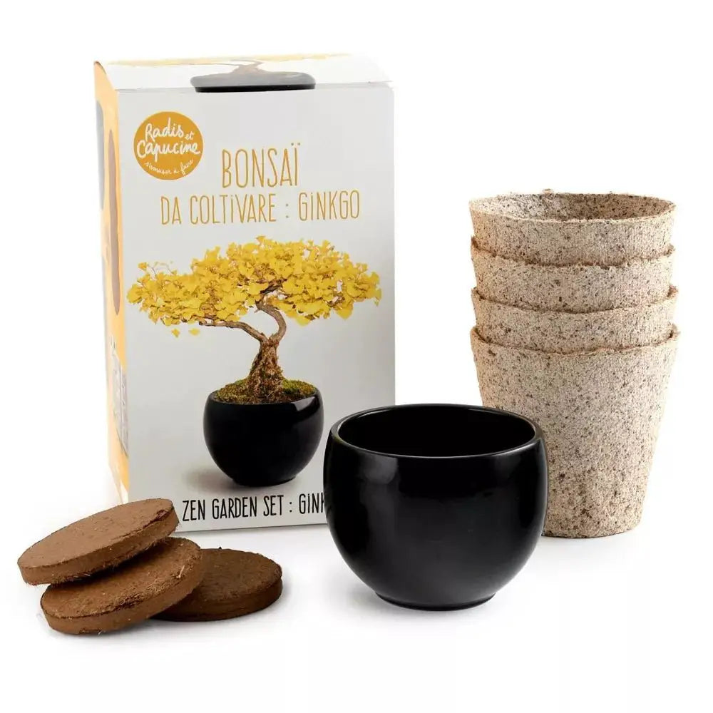 Kit Bonsaï Ginkgo - Radis et Capucine by Radis Et Capucine