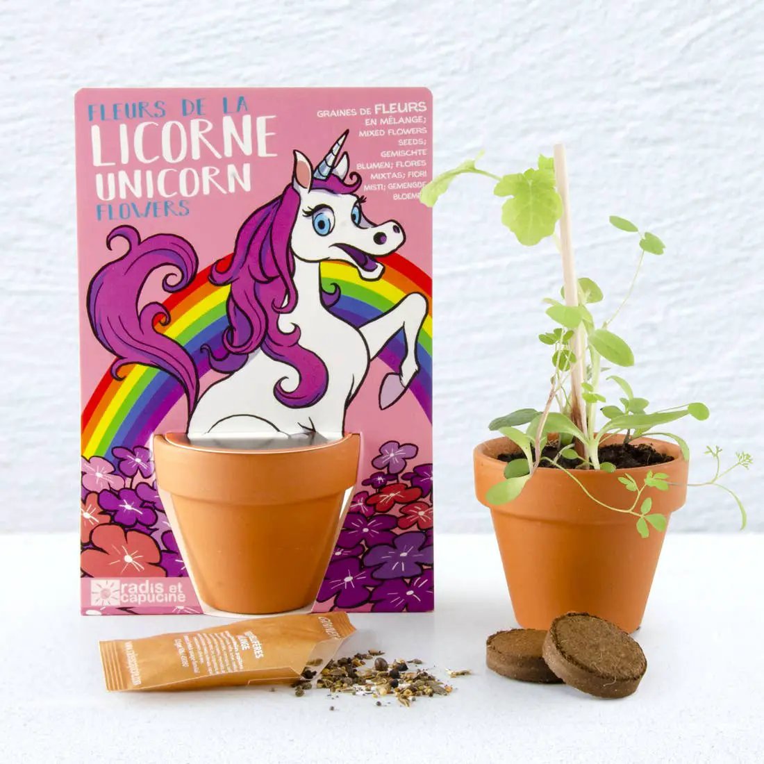 Carte nature Licorne - Mélange de fleurs - Kit créatif de jardinage Enfant by Radis Et Capucine