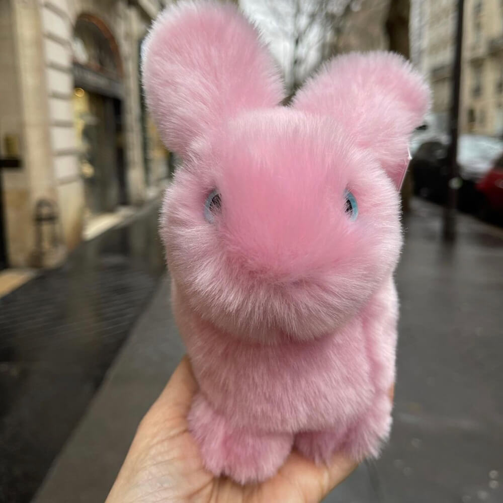 Ma peluche Lapin Léon - La Pelucherie by La Pelucherie
