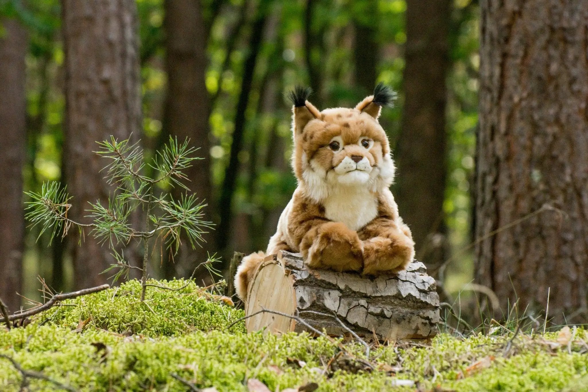 Lynx couché 45 cm - peluche - peluche by Teddy Hermann