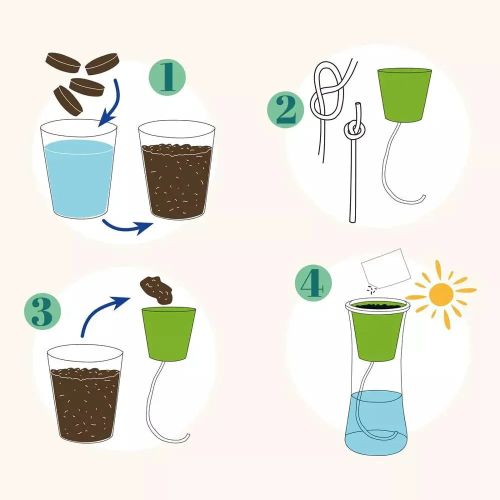 Jardin autonome - Basilic grand vert Bio - Kit créatif de jardinage Enfant by Radis Et Capucine