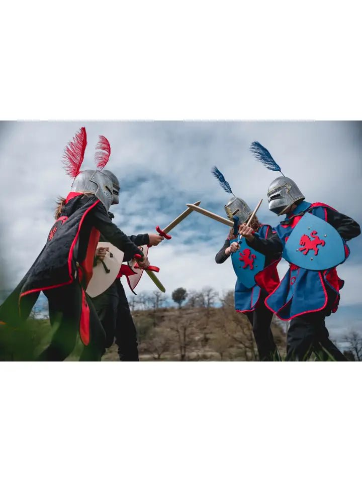 BOUCLIER RUSTIK L AVEC CROIX TEMPLIÈRE - Jeu de role pour enfants - myplayground