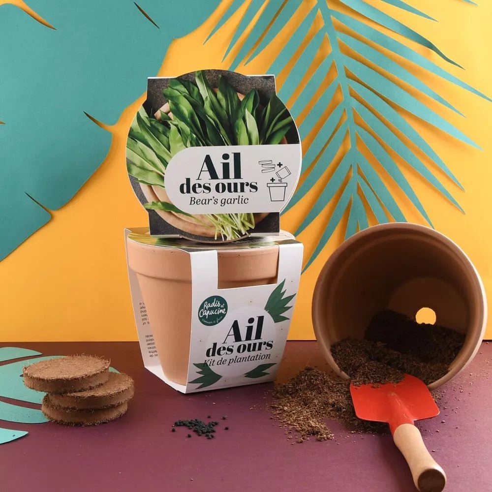 Pot Terre cuite Antique - Ail des ours - Radis et Capucine - myplayground