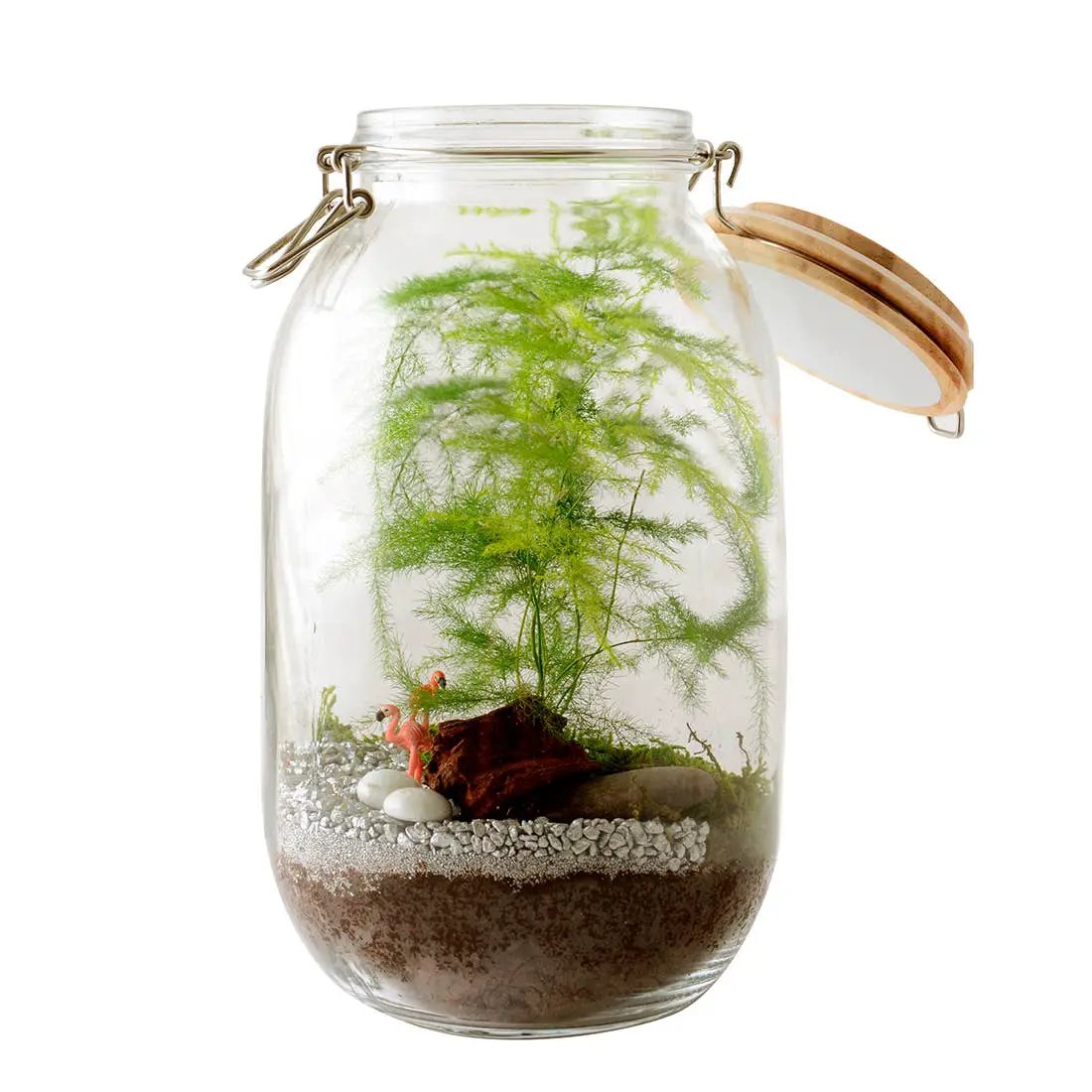 Kit pour créer ton propre terrarium - Kit créatif de jardinage Enfant by Radis Et Capucine