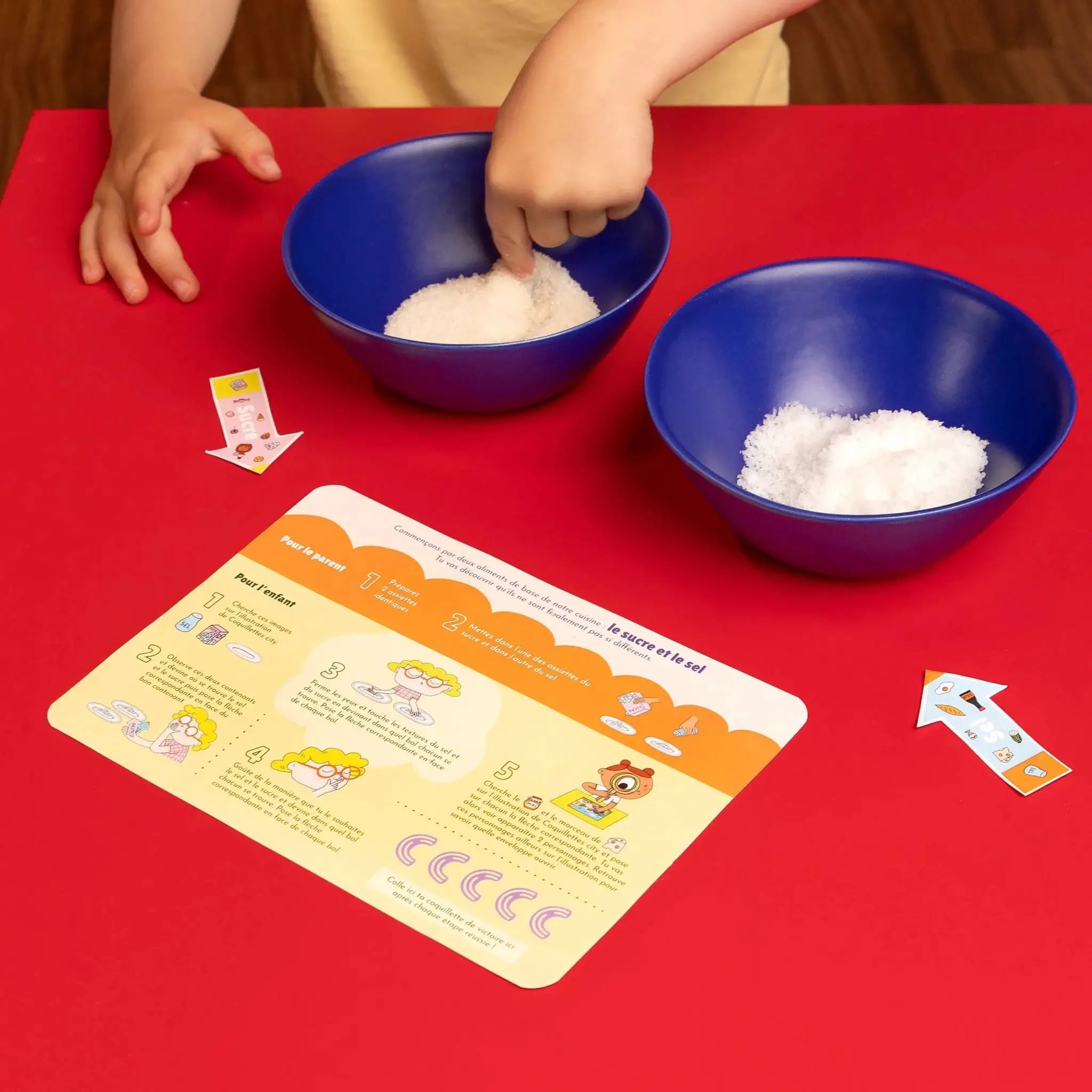 Aventure Sucré, salé, acide et amer - Coquillettes Club by myplayground