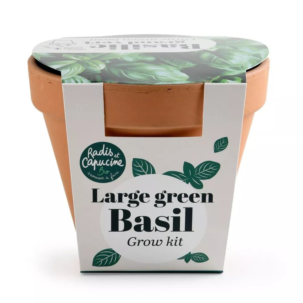 Pot Terre cuite Antique - Basilic grand vert Bio - Radis et Capucine - myplayground