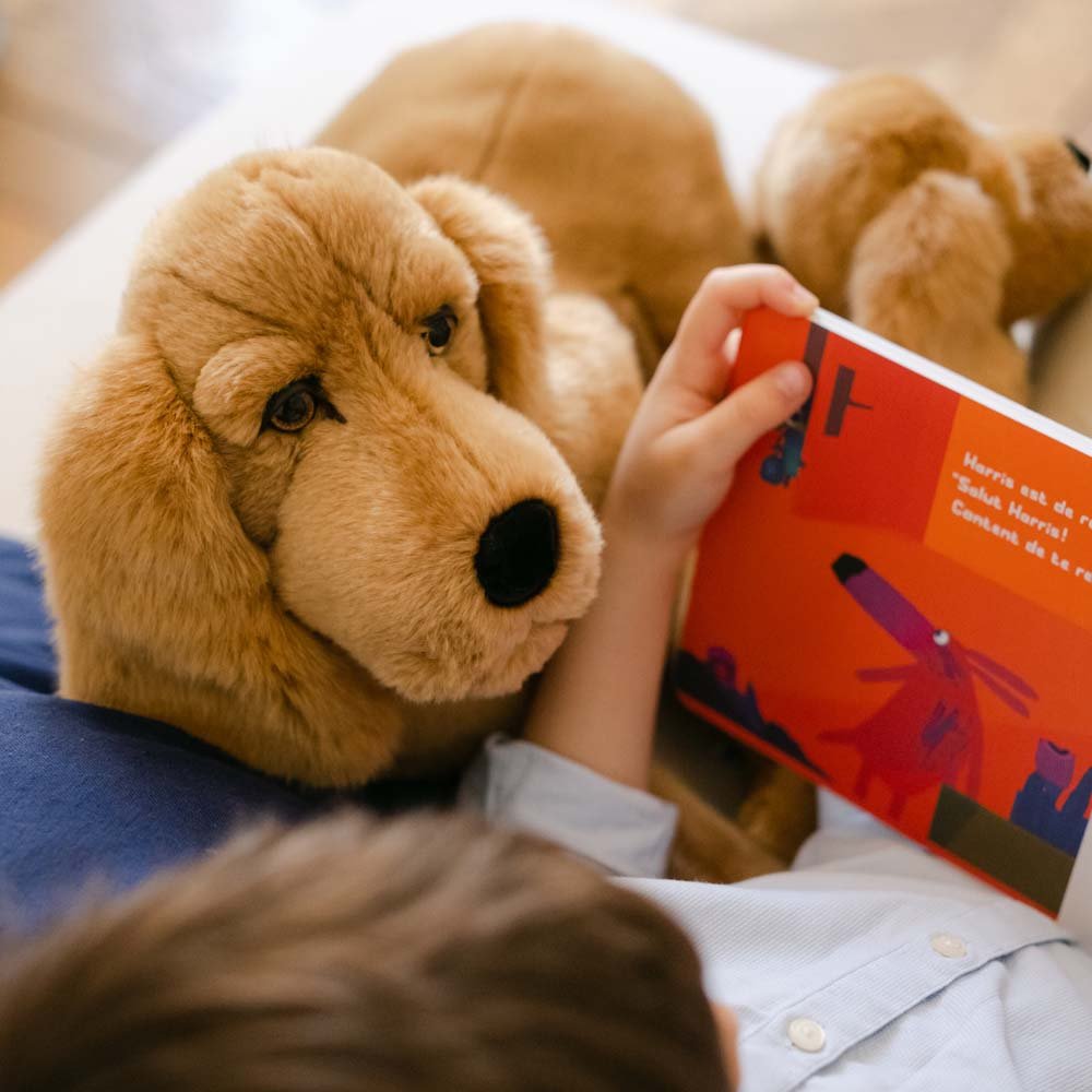 Ma peluche Cocker Théo - La Pelucherie - myplayground