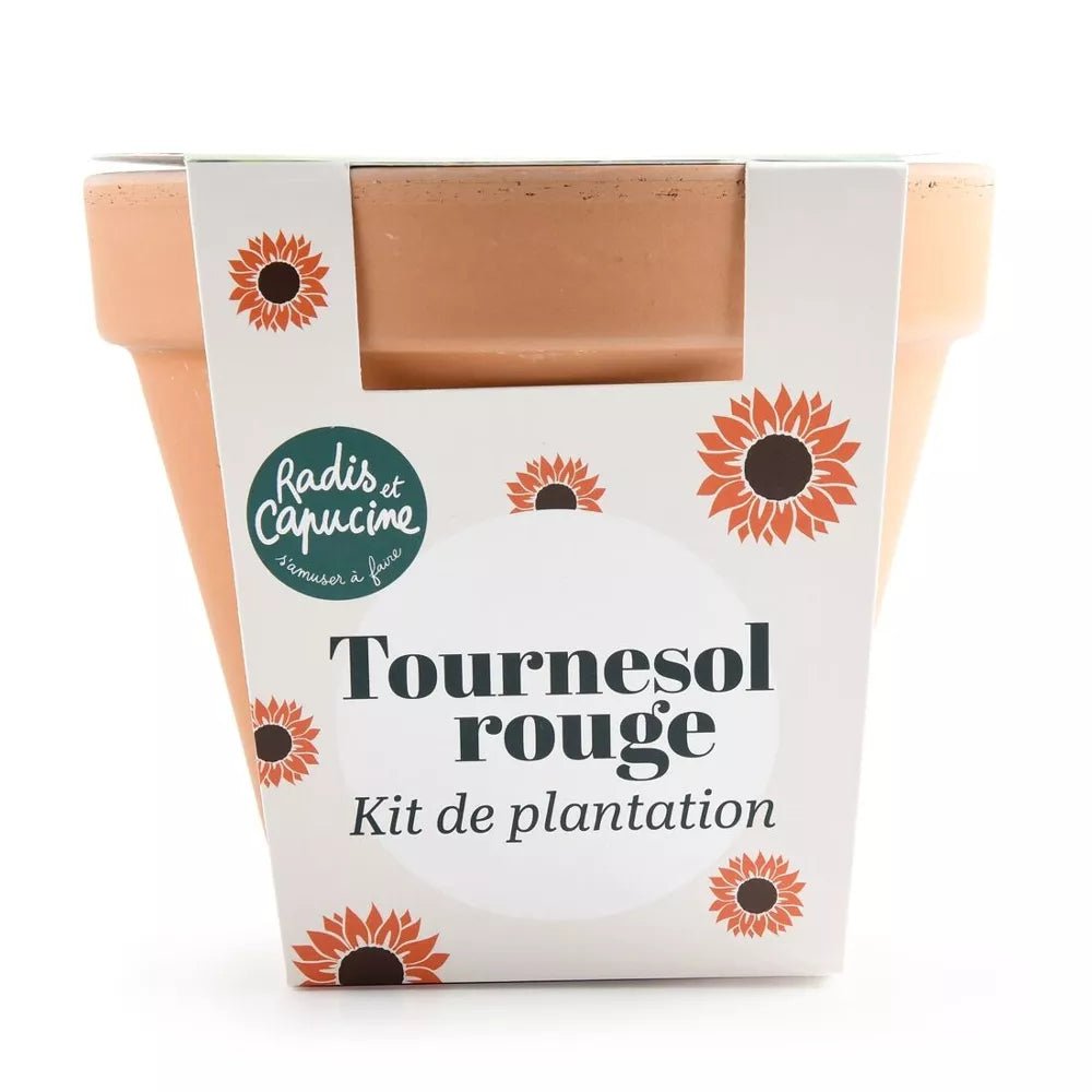 Pot Terre cuite Antique - Tournesol rouge - myplayground