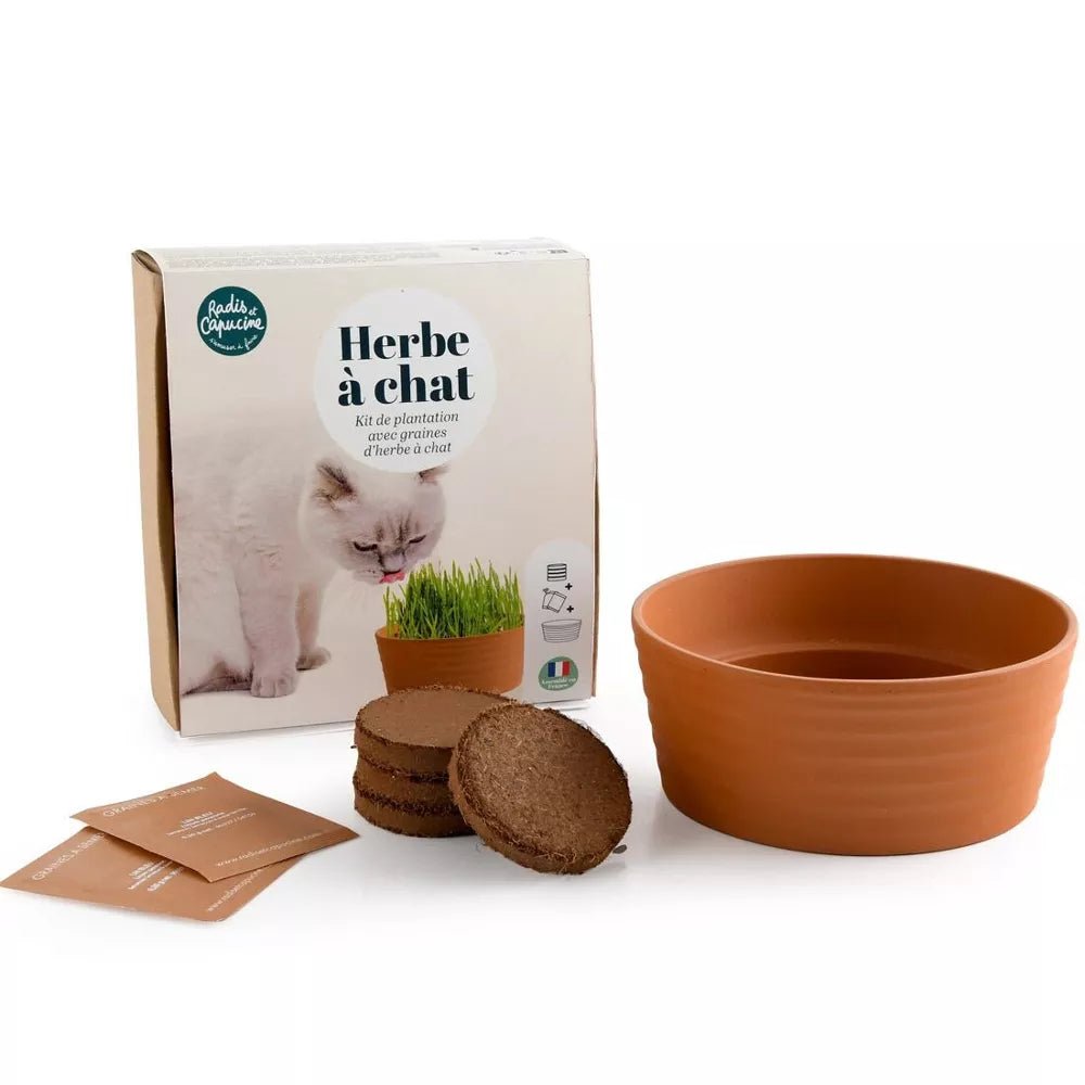 Coffret herbe à chat - Radis et capucine - myplayground