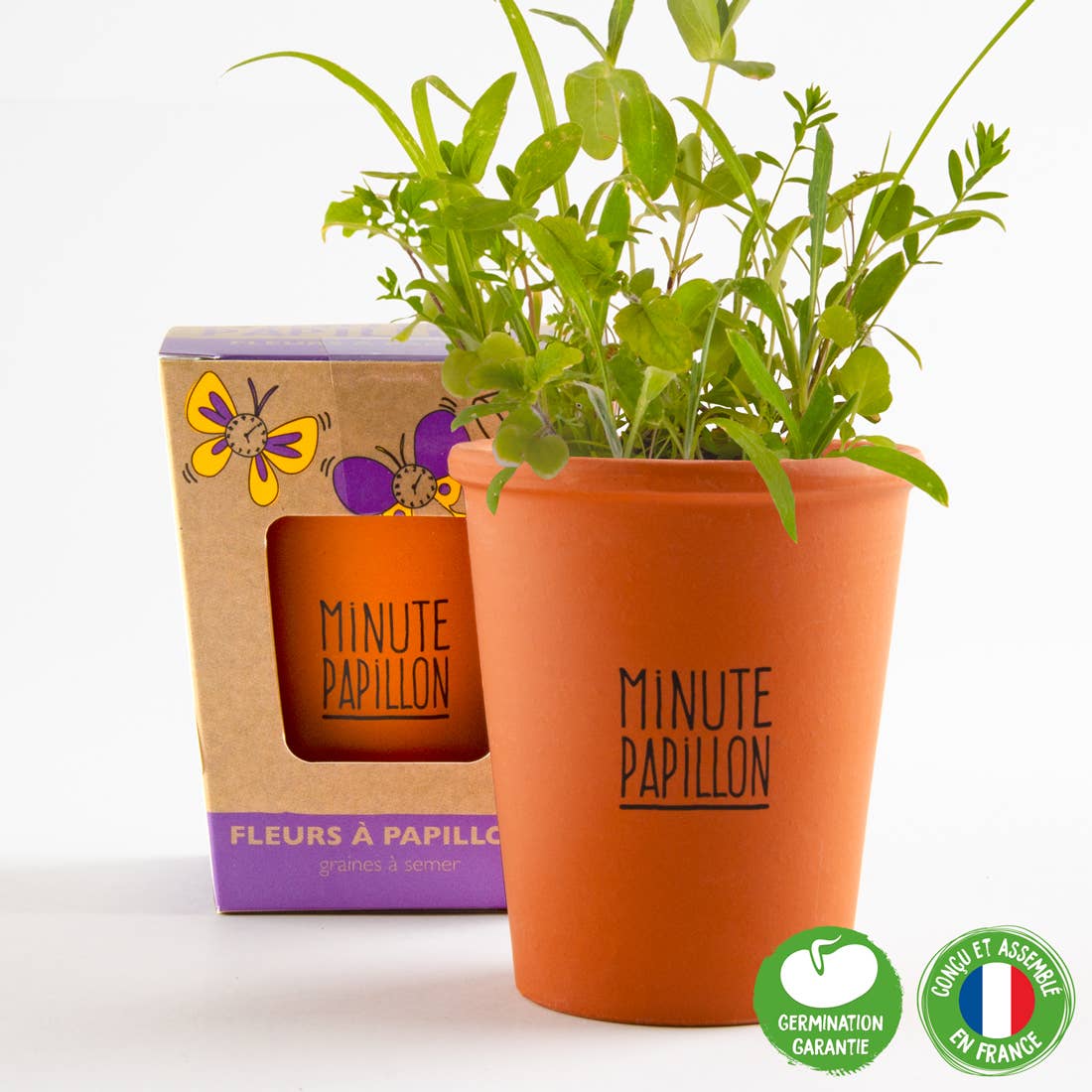 Kit message "Minute Papillon" - Fleurs papillons - Kit créatif de jardinage Enfant - myplayground