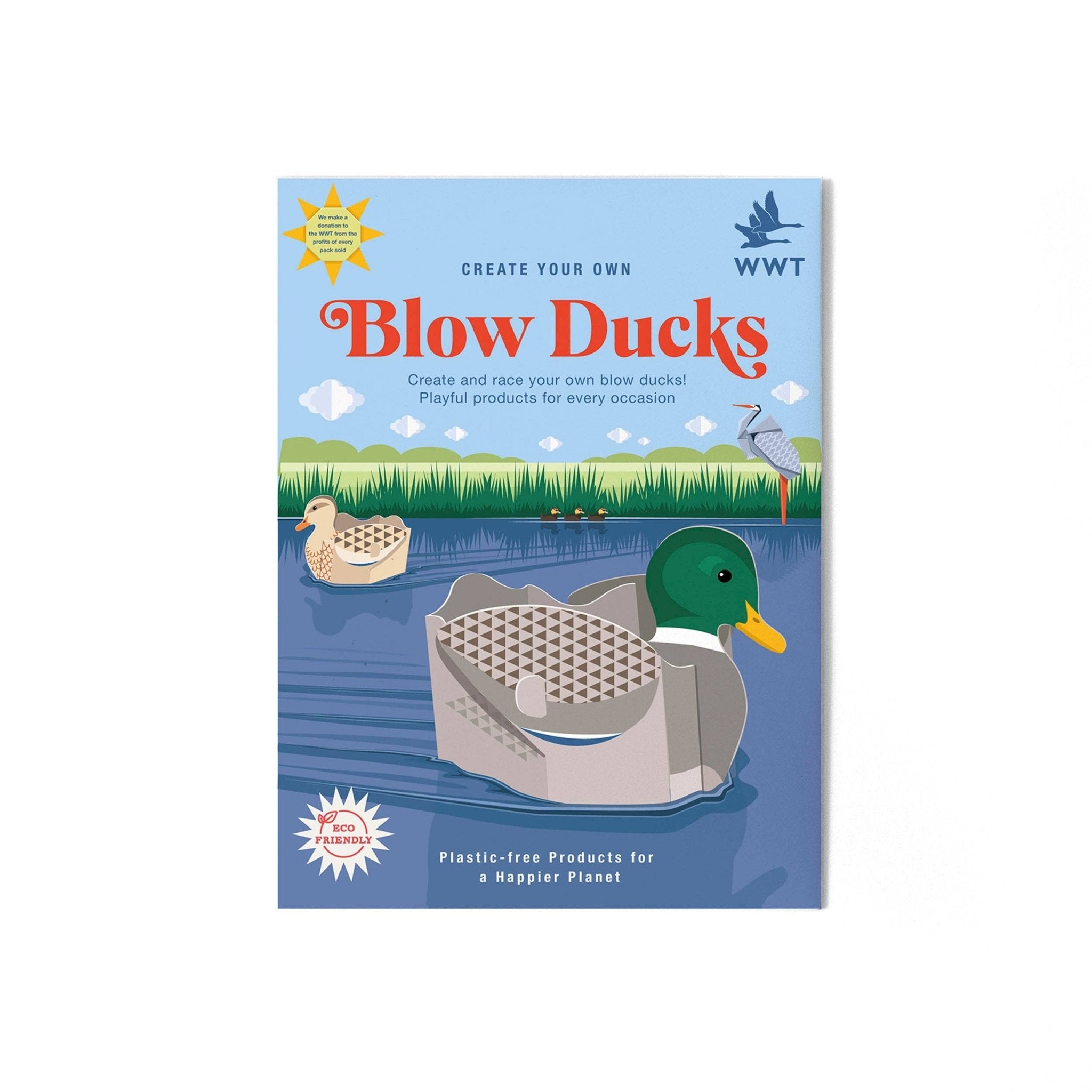 Créez votre propre mini - kit Blow Ducks - myplayground