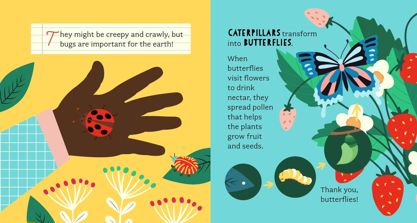 Bathtub Genius : Découvrons les Insectes - Bushel & Peck Books - myplayground