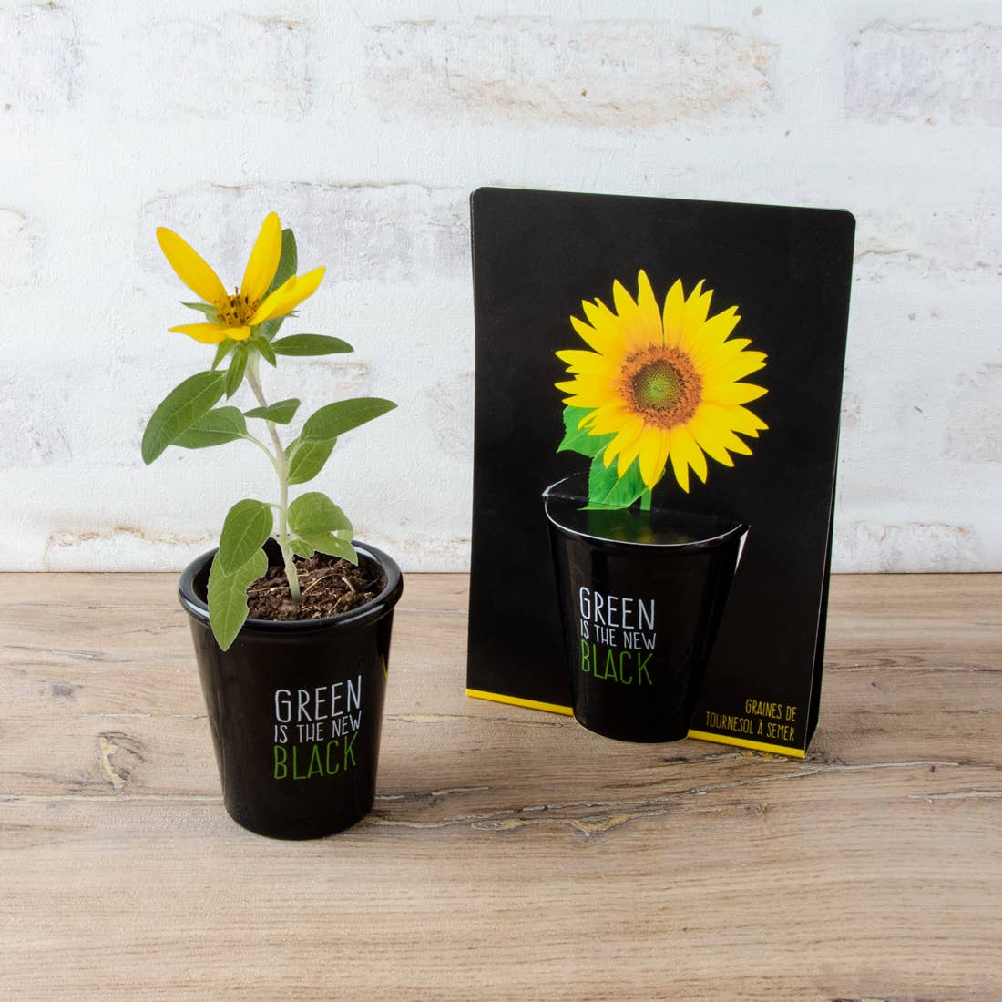 Gamme black - Tournesol - Kit créatif de jardinage Enfant by Radis Et Capucine