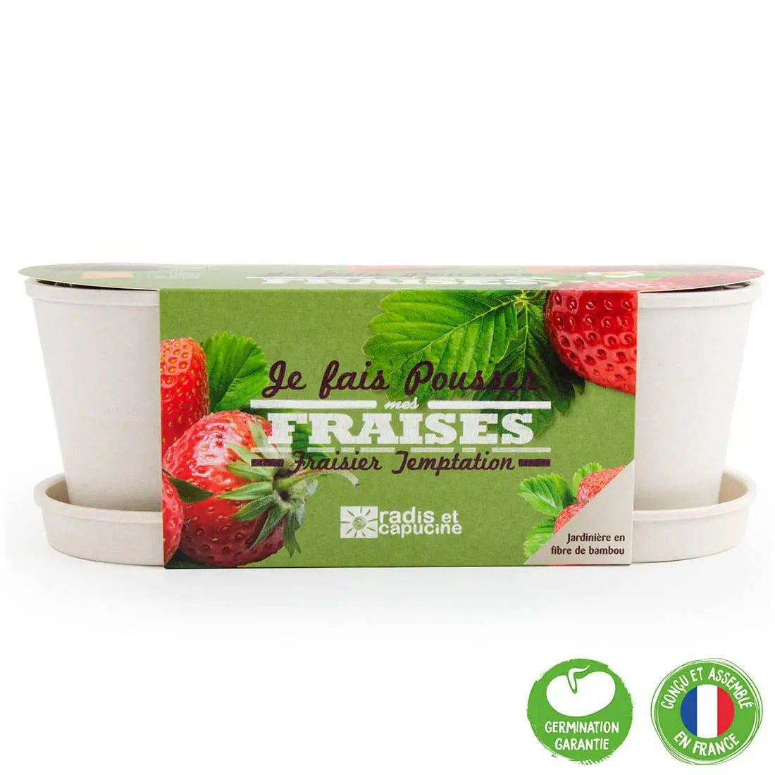 Jardinière Bambou - Fraisier - Kit créatif de jardinage Enfant by Radis Et Capucine
