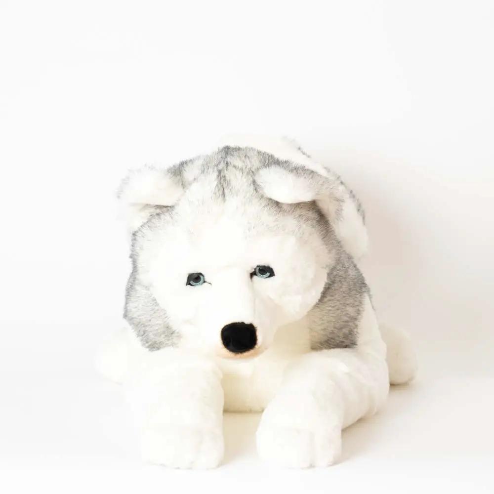 Ma peluche Husky Léonard - La Pelucherie by LA PELUCHERIE