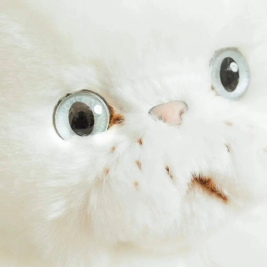 Ma Peluche Chat Oscar - La Pelucherie by La Pelucherie