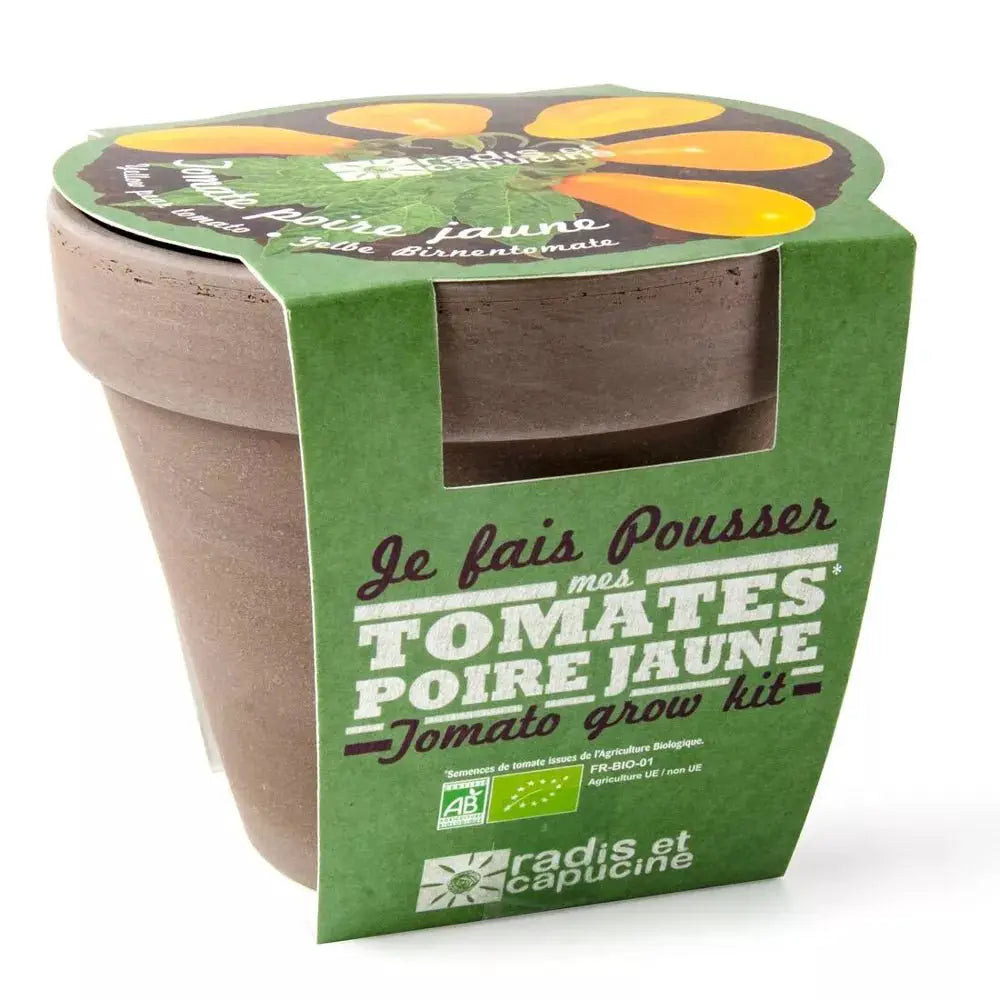 Pot Terre cuite Basalte 13cm - Tomate poire jaune Bio - Radis et Capucine by Radis Et Capucine