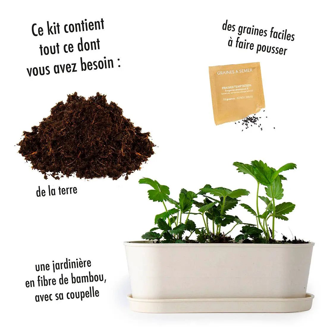 Jardinière Bambou - Fraisier - Kit créatif de jardinage Enfant by Radis Et Capucine