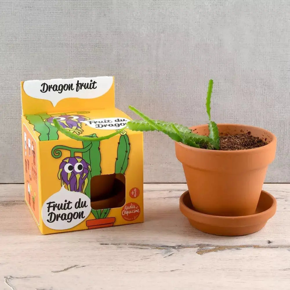 Fruit du dragon - Plantes extraordinaires - Radis et Capucine by Radis Et Capucine