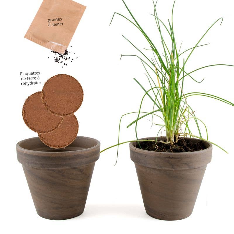 Pot Terre cuite Basalte - Ciboulette bio - Kit créatif de jardinage Enfant - myplayground
