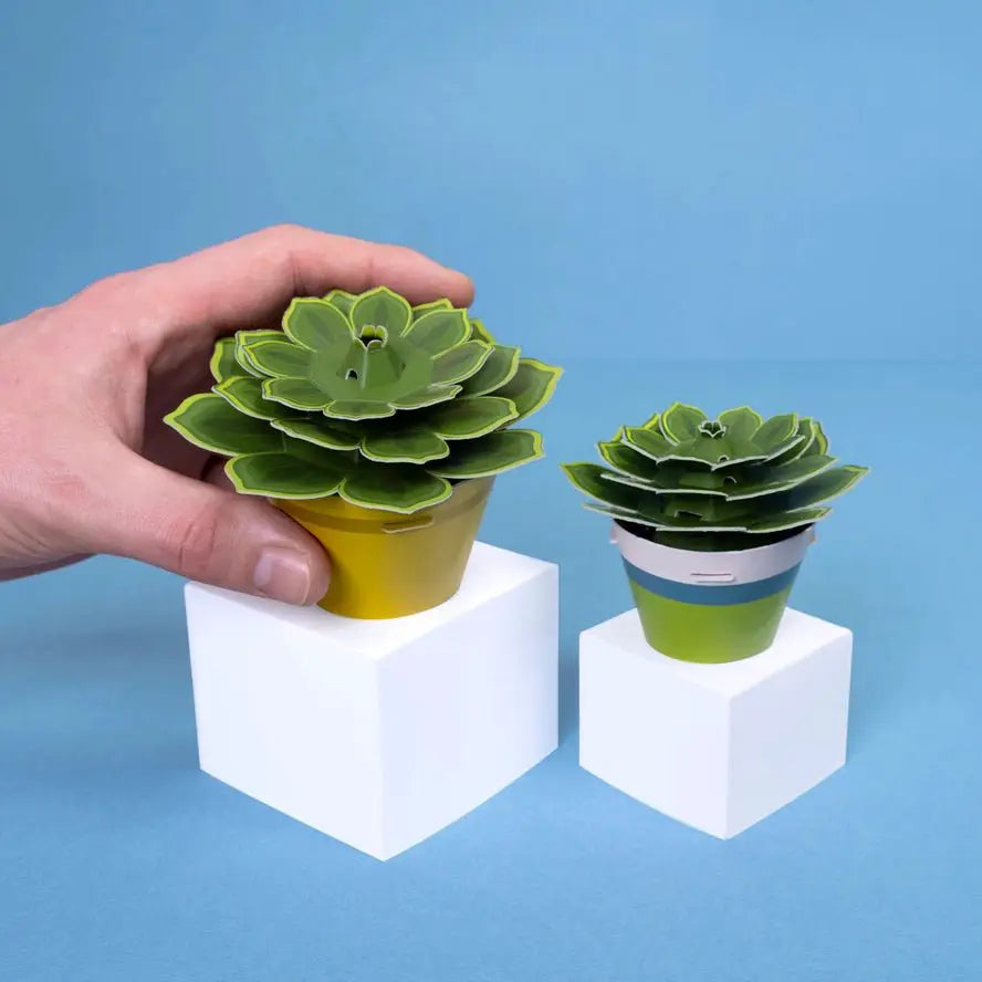 Fabriquez votre propre plante en papier succulente apaisante - Clockwork Soldier by Clockwork Soldier