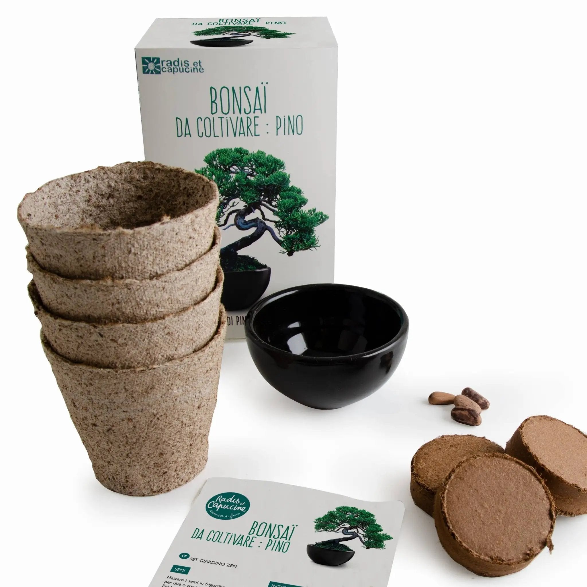 NOUVEAUTE - Kit Bonsaï à faire pousser - Kit créatif de jardinage Enfant by Radis Et Capucine