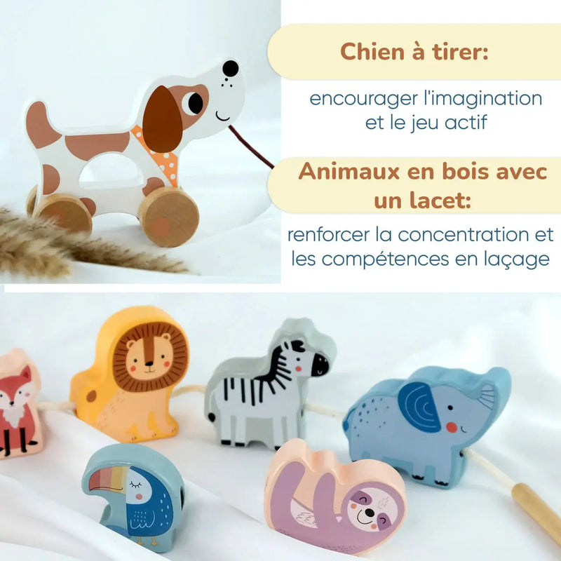Coffret de Jeu Montessori - ensemble pour les enfants - 18 à 24 mois - BusyKids by BusyKids
