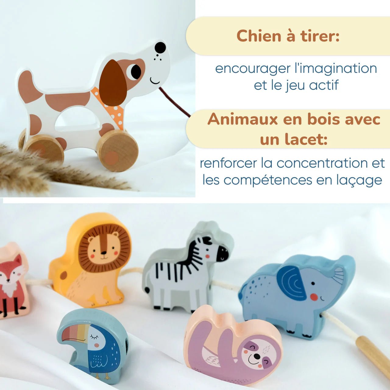 Coffret de Jeu Montessori - ensemble pour les enfants - 18 à 24 mois - BusyKids - myplayground