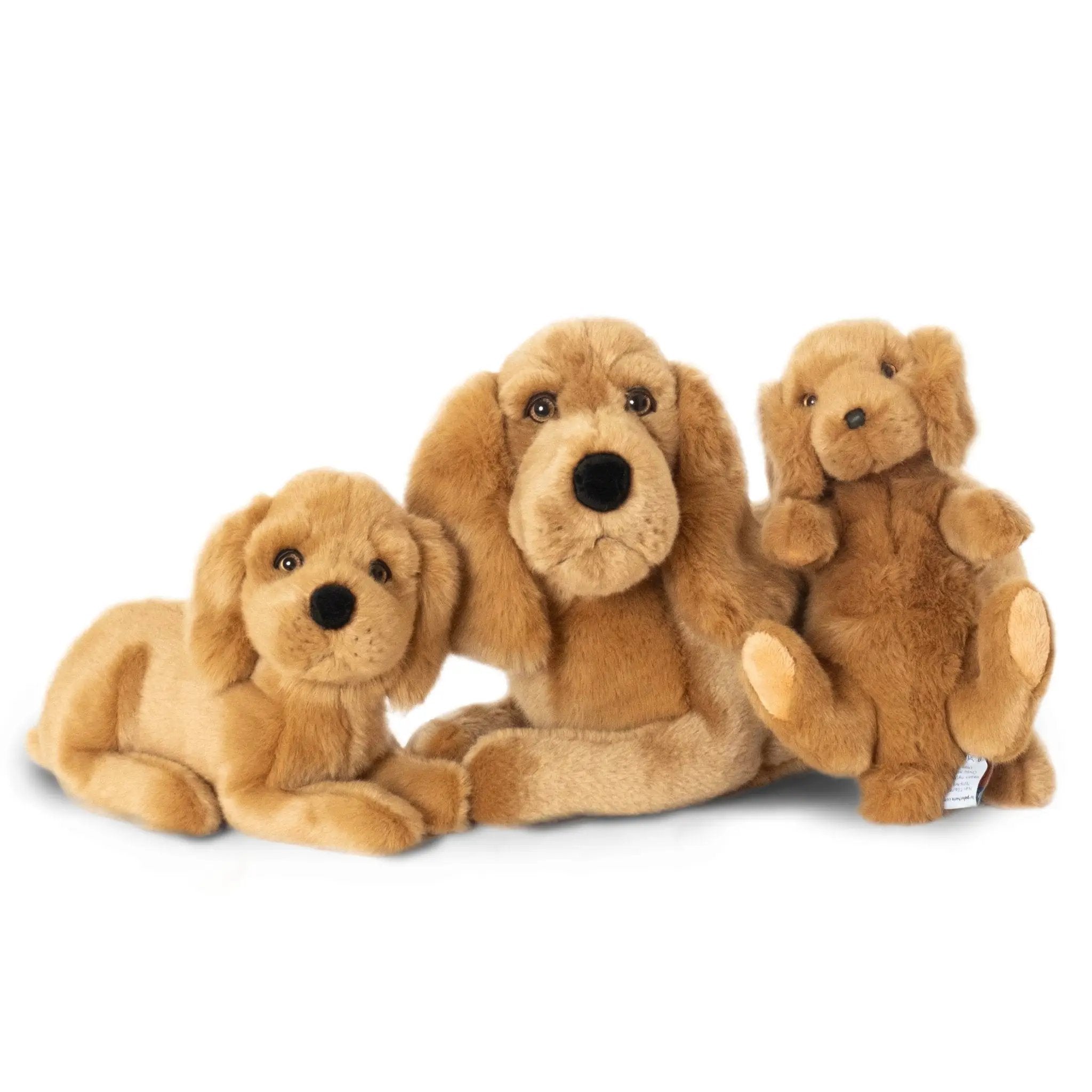 Ma peluche Cocker Théo - La Pelucherie by LA PELUCHERIE